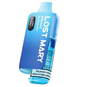 Lost Mary BM6000 Refillable Vape Kit-Blueberry (pack of 5)